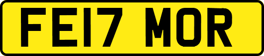 FE17MOR