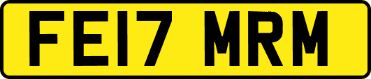 FE17MRM