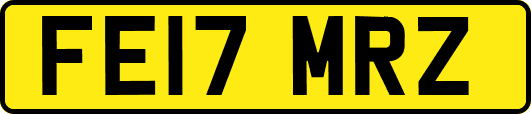 FE17MRZ