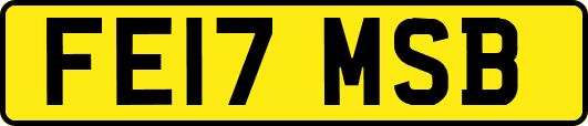 FE17MSB