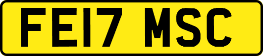 FE17MSC