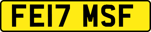 FE17MSF