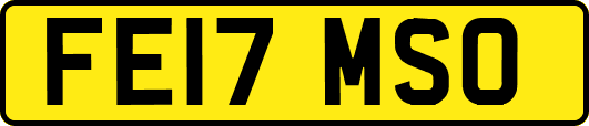 FE17MSO