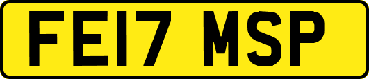 FE17MSP