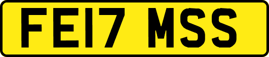 FE17MSS