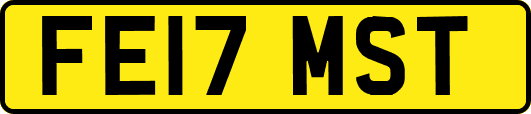 FE17MST