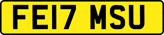 FE17MSU