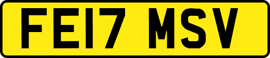 FE17MSV