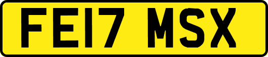 FE17MSX