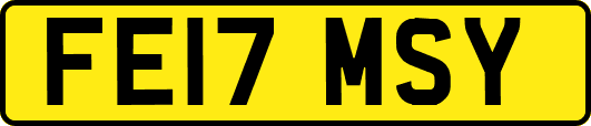 FE17MSY