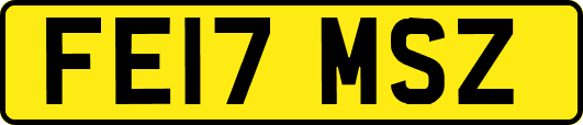 FE17MSZ