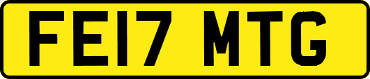 FE17MTG