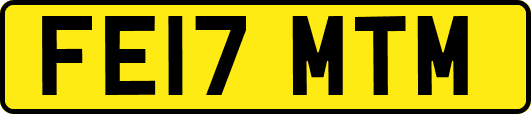FE17MTM