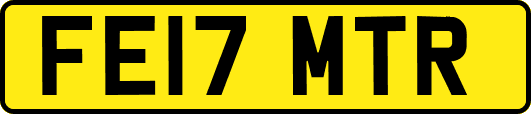 FE17MTR