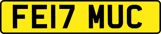 FE17MUC