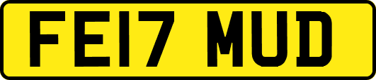 FE17MUD