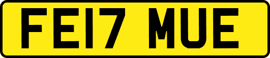 FE17MUE