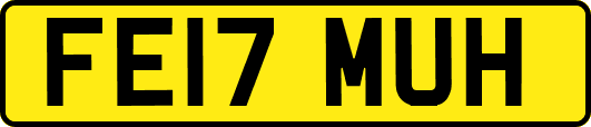 FE17MUH