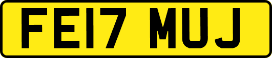 FE17MUJ