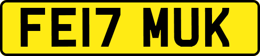 FE17MUK