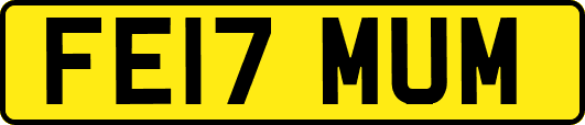 FE17MUM