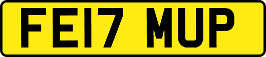 FE17MUP