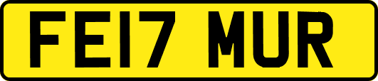 FE17MUR