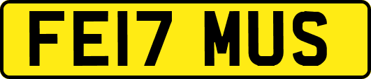 FE17MUS