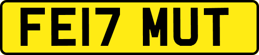 FE17MUT