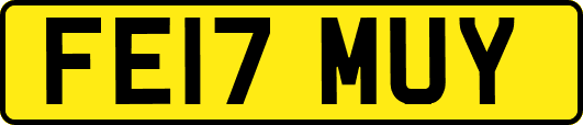 FE17MUY