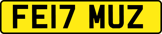 FE17MUZ