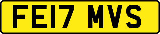 FE17MVS