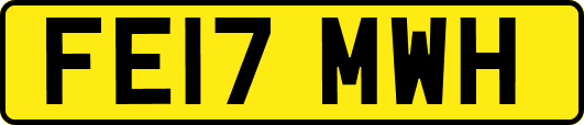 FE17MWH