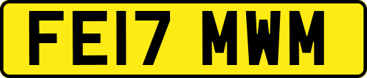 FE17MWM
