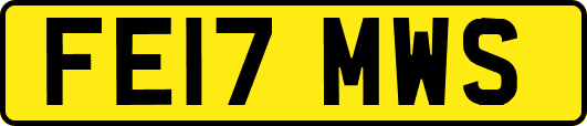 FE17MWS