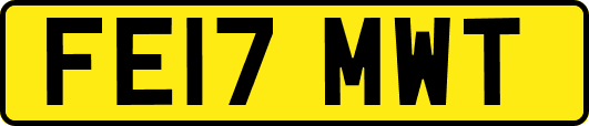 FE17MWT