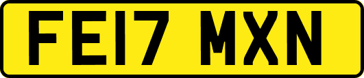 FE17MXN