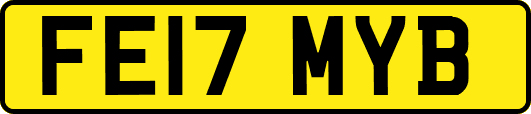 FE17MYB
