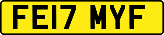 FE17MYF