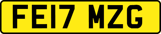 FE17MZG