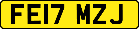 FE17MZJ