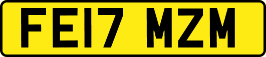 FE17MZM