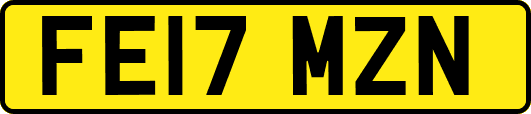FE17MZN