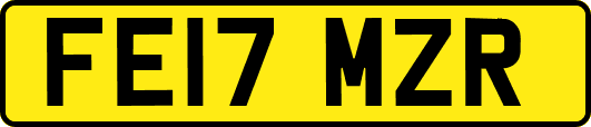 FE17MZR