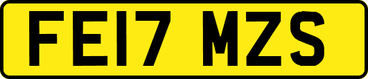 FE17MZS