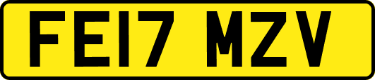 FE17MZV