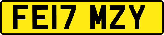 FE17MZY