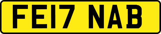 FE17NAB