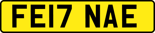 FE17NAE