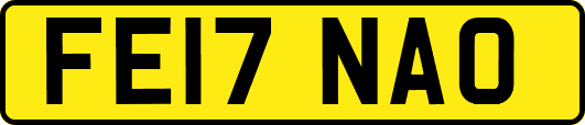 FE17NAO